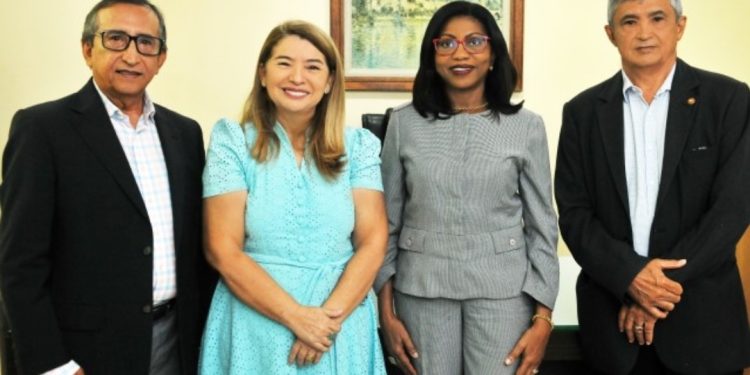 Iracema Vale, Deputada eleita faz visita a desembargador e desembargadora