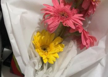 Shopping, presta homenagem aos profissionais da linha de frente em atendimento as vítimas do incêndio na sala de cinema 