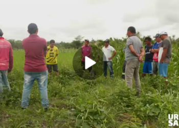 Prefeitura de Urbano Santos apoia e fortalece a agricultura familiar como incentivo ao trabalhador do campo 