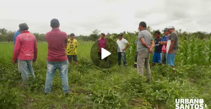 Prefeitura de Urbano Santos apoia e fortalece a agricultura familiar como incentivo ao trabalhador do campo 