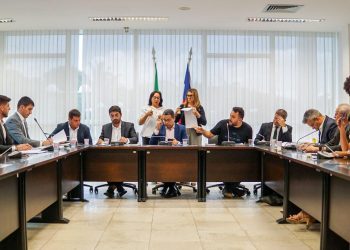 CCJ aprova parecer a projetos sobre política pública dos direitos e de atenção à saúde da mulher
