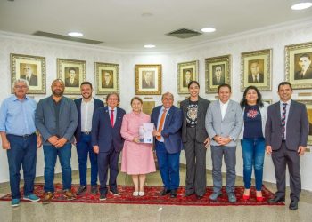 Assembleia Legislativa e Câmara Municipal discutem melhoria do atendimento a parturientes da rede pública do Maranhão 