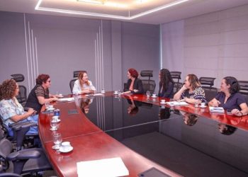 Em reunião, Iracema Vale defende a autuação Lei 13.935 que garante atuação de psicólogos e assistentes sociais em escolas estaduais