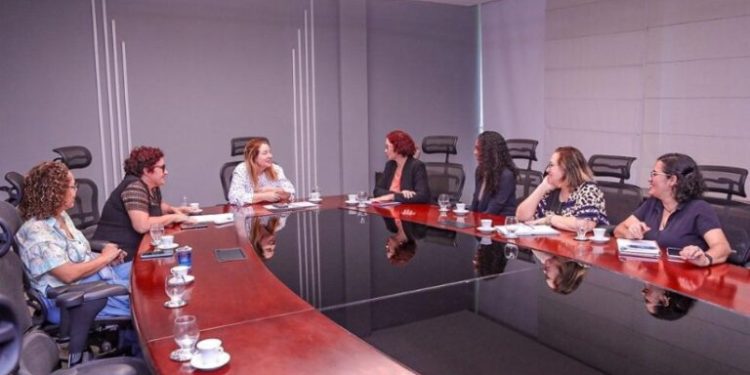 Em reunião, Iracema Vale defende a autuação Lei 13.935 que garante atuação de psicólogos e assistentes sociais em escolas estaduais