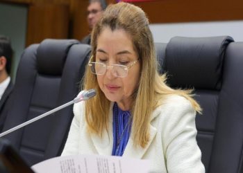 Aprovado PL 155/2023 de Iracema Vale que obriga comunicação a DPE dos nascimentos sem identificação de paternidade