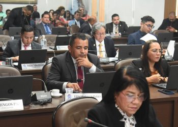São Luís – Vereadores solicitam manutenção da limpeza pública em vários pontos da capital