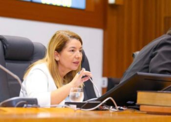 Iracema Vale apresenta requerimento para homenagear o Instituto Histórico e Geográfico do Maranhão