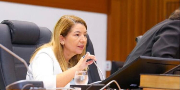 Iracema Vale apresenta requerimento para homenagear o Instituto Histórico e Geográfico do Maranhão