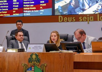 Iracema Vale faz balanço positivo do primeiro semestre de 2023 na Assembleia Legislativa