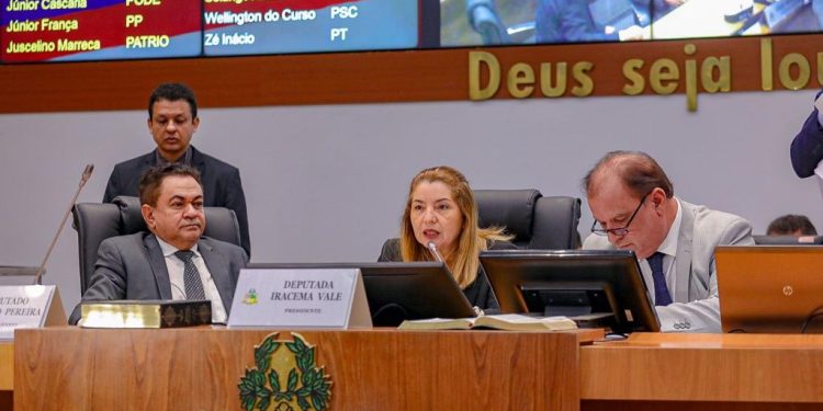 Iracema Vale faz balanço positivo do primeiro semestre de 2023 na Assembleia Legislativa