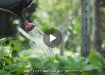 “Uma Gestão que Vale” Iracema Vale relembra investimentos realizados em benefício da agricultura familiar de Urbano Santos