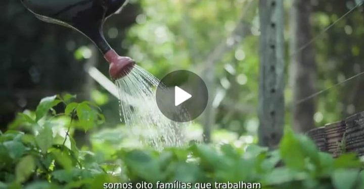 “Uma Gestão que Vale” Iracema Vale relembra investimentos realizados em benefício da agricultura familiar de Urbano Santos