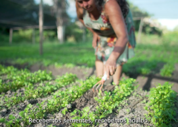 Assista o 2° episódio da série “Uma Gestão que Vale”I Deputada racema Vale relembra investimentos realizados em benefício da agricultura familiar de Urbano Santos