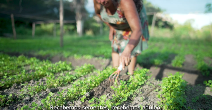 Assista o 2° episódio da série “Uma Gestão que Vale”I Deputada racema Vale relembra investimentos realizados em benefício da agricultura familiar de Urbano Santos