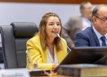 Assembleia Legislativa avança em transparência na gestão da presidente Iracema Vale