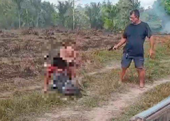 Idoso é assassinado após discussão envolvendo disputas por terras 