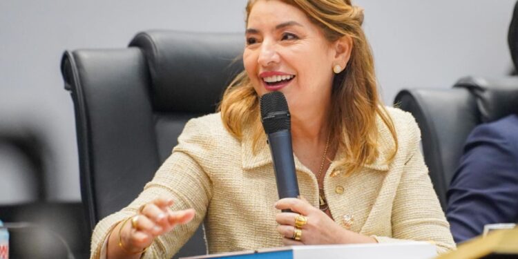 Iracema Vale afirma que manifestação da AGU reforça respeito à autonomia do Parlamento