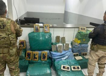 PRF apreende mais de 360 kg de drogas escondidos em carga de milho no Maranhão